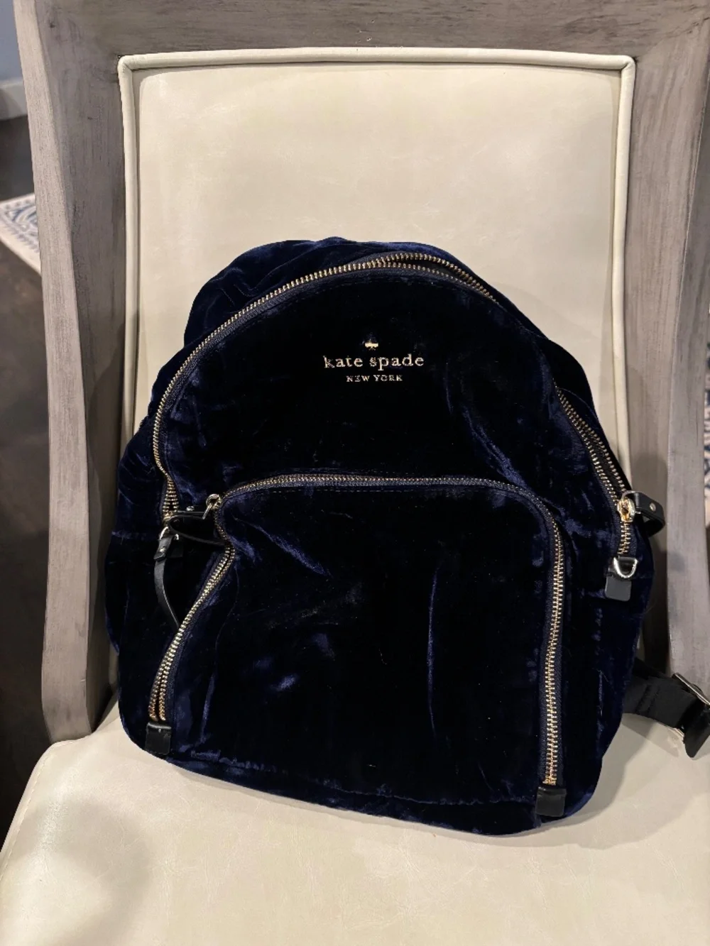 Kate Spade Velvet Backpack